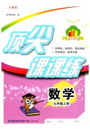 顶尖课课练九年级数学人教版
