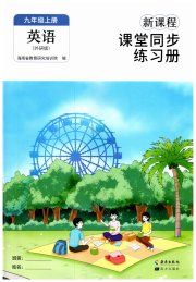 新课程课堂同步练习册九年级英语外研版