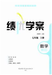 绩优学案七年级数学人教版