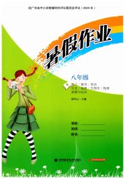 暑假作业深圳报业集团出版社八年级综合
