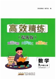 高效精练九年级数学苏科版