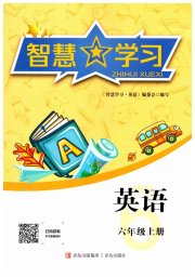智慧学习导学练六年级英语人教版青岛出版社专版