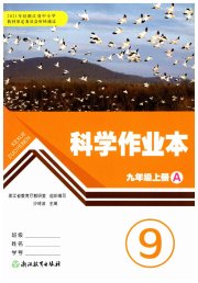 作业本九年级科学浙教版浙江教育出版社