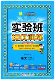 实验班提优训练六年级语文人教版