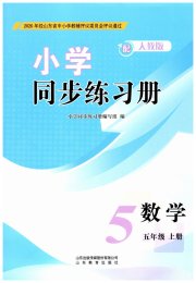 同步练习册山东教育出版社五年级数学人教版