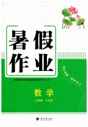 暑假作业兰州大学出版社七年级数学人教版