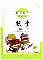 智慧学习七年级数学人教版