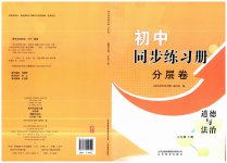 2023年同步练习册分层卷七年级道德与法治下册人教版