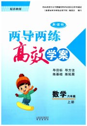 新课标两导两练高效学案六年级数学凤凰版