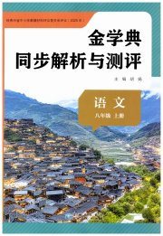 金学典同步解析与测评贵州人民出版社八年级语文人教版