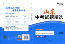 2026年天利38套中考试题精选九年级化学山东专版