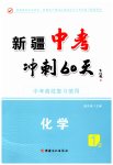 2023年中考冲刺60天化学新疆专版