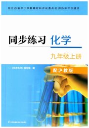 同步练习九年级化学沪教版江苏凤凰科学技术出版社