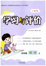 新课程学习与评价五年级数学人教版