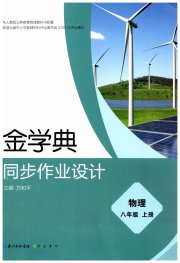 金学典同步作业设计八年级物理人教版