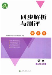 同步解析与测评学考练九年级语文人教版
