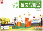 练习与测试二年级语文彩色提优版