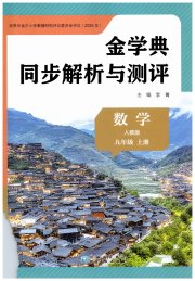 金学典同步解析与测评贵州人民出版社九年级数学人教版