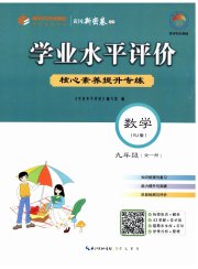学业水平评价九年级数学人教版