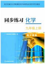 同步练习九年级化学沪教版江苏凤凰科学技术出版社