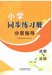 同步练习册分层指导二年级道德与法治人教版