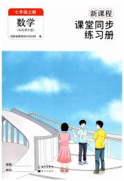 新课程课堂同步练习册七年级数学华师大版