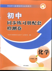 同步练习册配套检测卷八年级化学鲁教版五四制