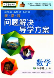 新课程问题解决导学方案八年级数学华东师大版