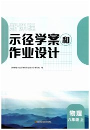 新课程示径学案作业设计八年级物理苏科版