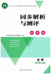 同步解析与测评学考练九年级化学人教版精练版