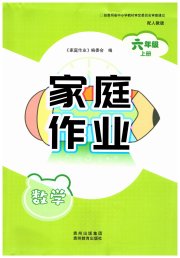 家庭作业六年级数学人教版