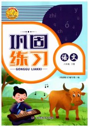 全新巩固练习六年级语文人教版
