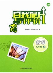 自我提升与评价九年级数学人教版
