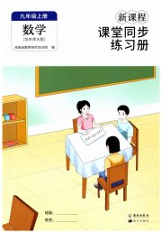 新课程课堂同步练习册九年级数学华师大版