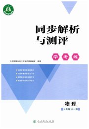 同步解析与测评学考练九年级物理人教版