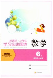 小学生学习实践园地六年级数学人教版