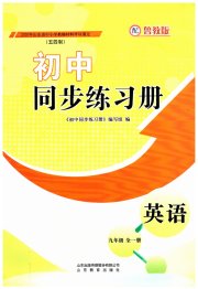 同步练习册山东教育出版社九年级英语鲁教版54制