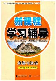 新课程学习辅导九年级道德与法治人教版