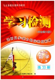 学习检测九年级数学华师大版河南专版
