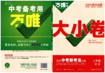 2023年万唯中考大小卷八年级英语下册人教版