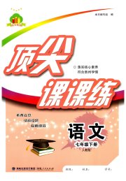 顶尖课课练七年级语文人教版贵州专版