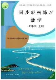 同步轻松练习七年级数学人教版精编版