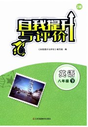 自我提升与评价八年级英语译林版