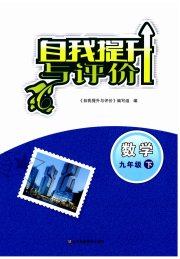 自我提升与评价九年级数学人教版