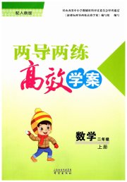 新课标两导两练高效学案二年级数学人教版