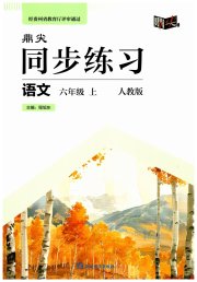 鼎尖同步练习六年级语文人教版