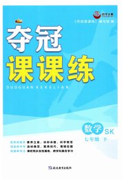 夺冠课课练七年级数学苏科版