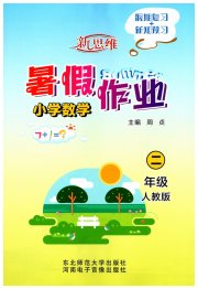 新思维暑假作业二年级数学人教版