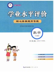学业水平评价六年级数学人教版