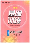 2023年同步实践评价课程基础训练八年级道德与法治下册人教版